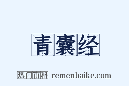 青囊经是什么意思的图片